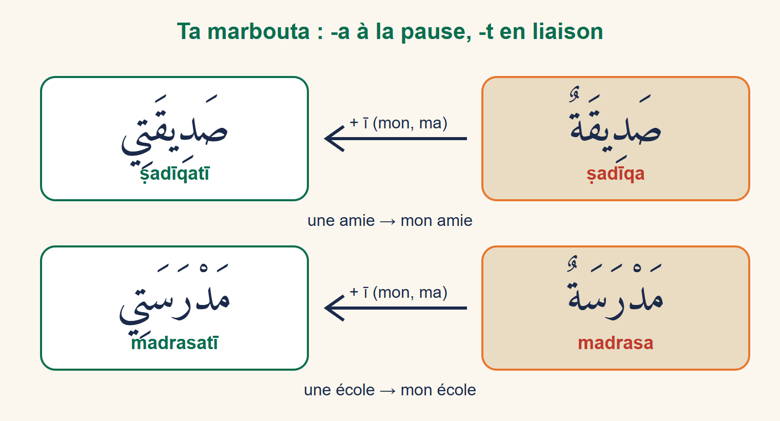 Deux transformations : ṣadiqa, une amie, devient ṣadiqati, mon amie ; madrasa, une école, devient madrasati, mon école, la ta marbouta devenant un ta ouvert