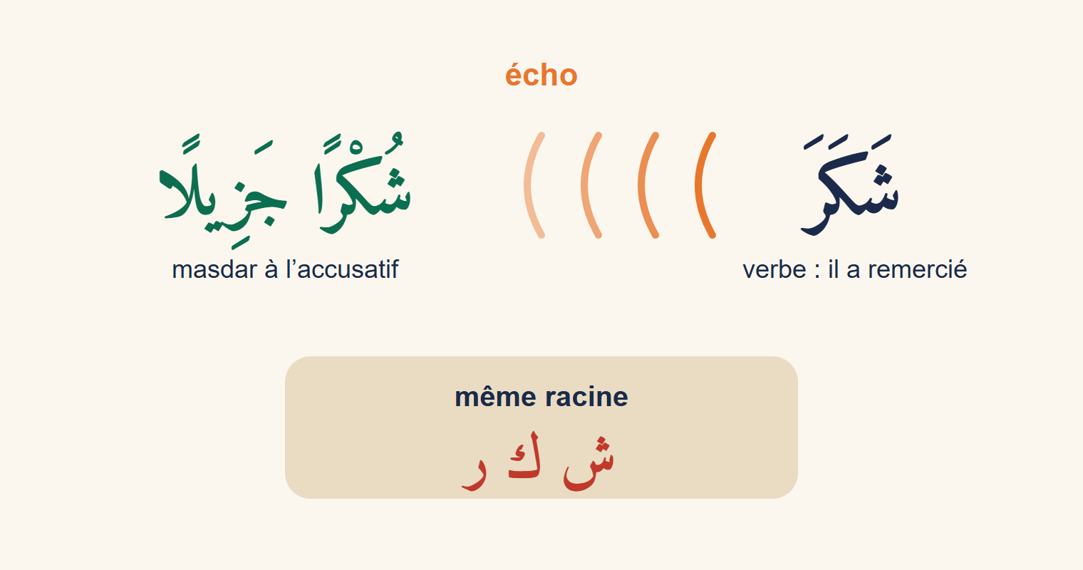 Schéma en écho : le verbe shakara écrit à droite, une onde qui part vers la gauche jusqu’au masdar shukran jazīlan, et sous les deux mots la racine commune sh-k-r en couleur