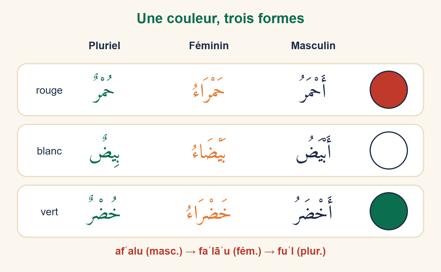 Trois pastilles rouge, blanche et verte avec, pour chacune, le masculin, le féminin et le pluriel de l'adjectif arabe