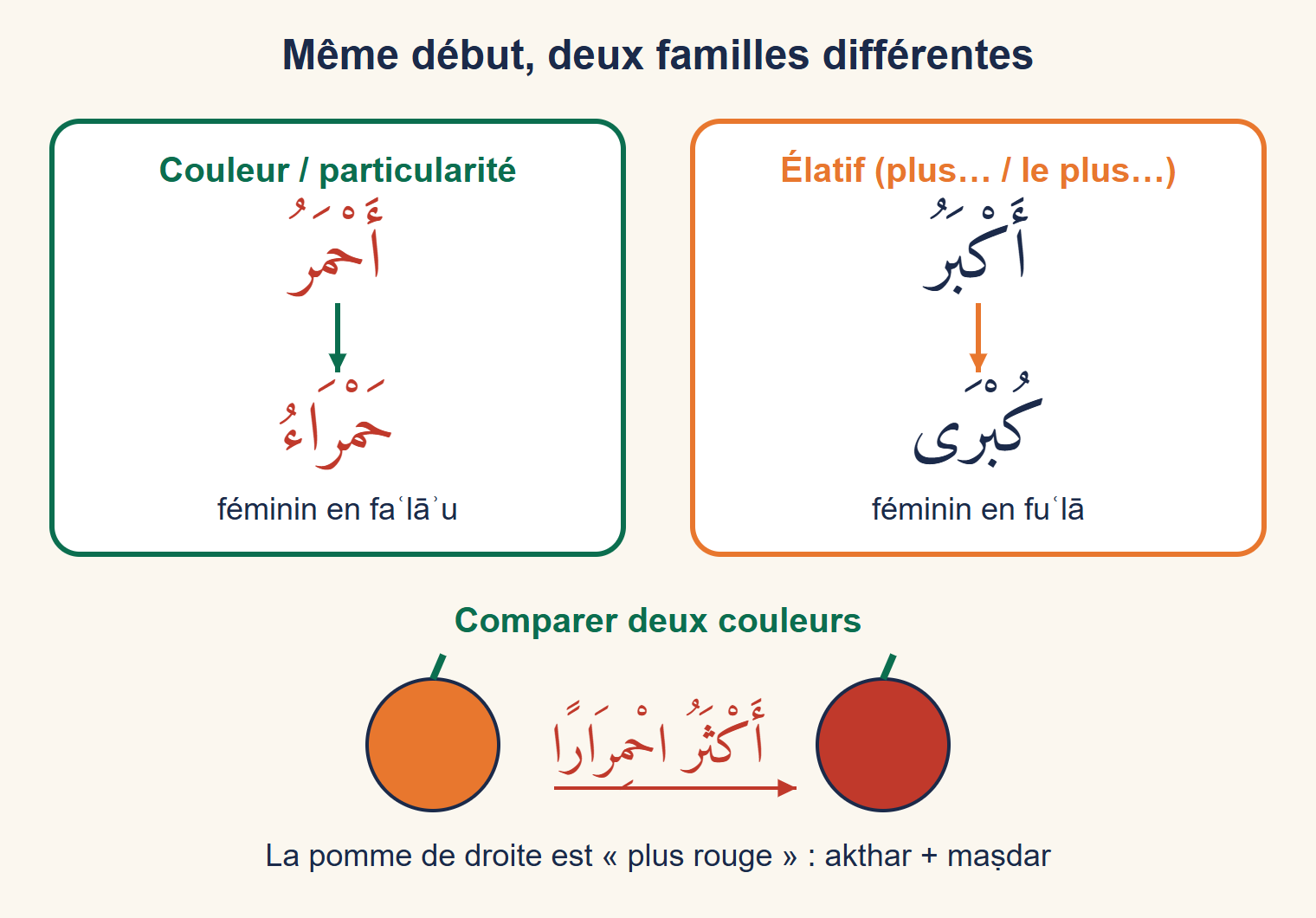 Deux colonnes : à gauche ahmar devient hamrâ', à droite akbar devient kubrâ ; en bas, deux pommes, la rouge est dite akthar ihmirâran
