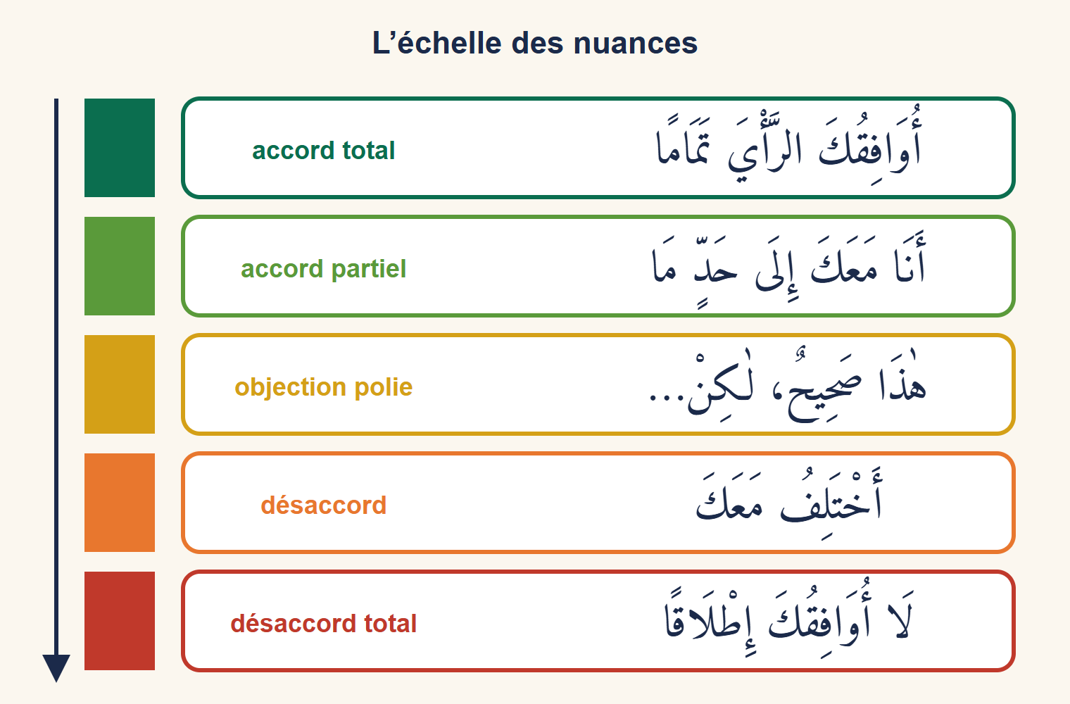 Échelle verticale de cinq expressions arabes allant de l’accord total au désaccord total