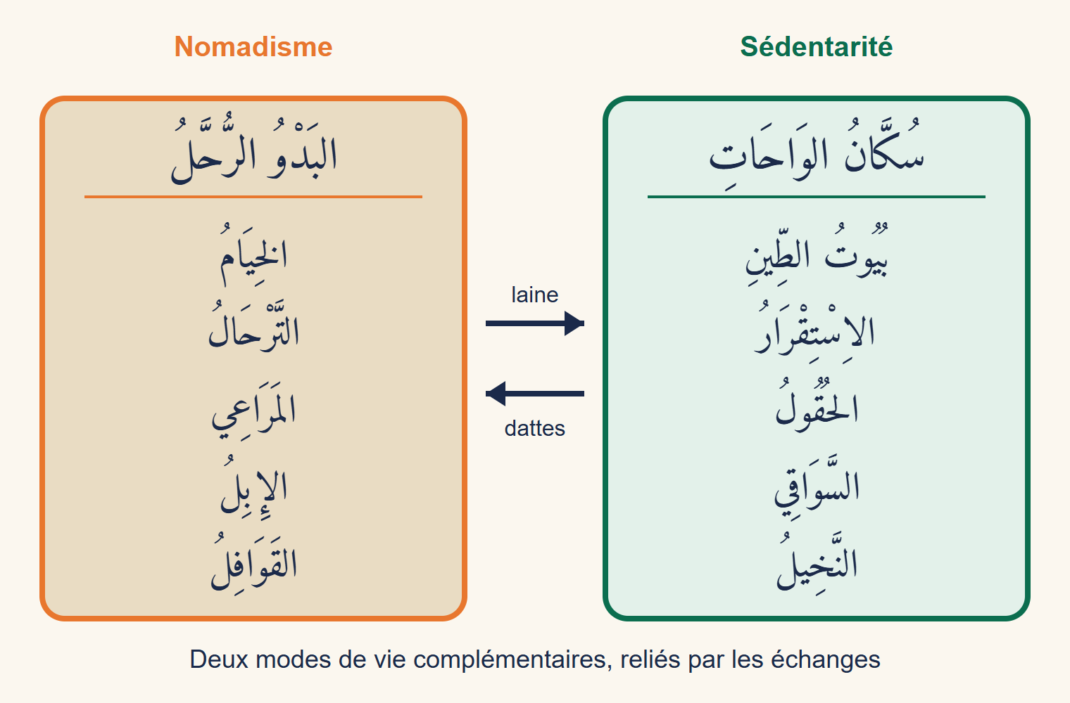 Deux colonnes : à gauche le nomadisme avec tentes, déplacements, pâturages, dromadaires et caravanes ; à droite la sédentarité avec maisons en terre, installation, champs, rigoles et palmiers ; deux flèches d’échange : laine dans un sens, dattes dans l’autre