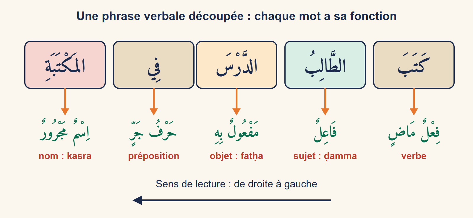La phrase « l’élève a écrit la leçon à la bibliothèque » découpée en cinq étiquettes, chacune avec sa fonction en arabe et sa marque de cas en français