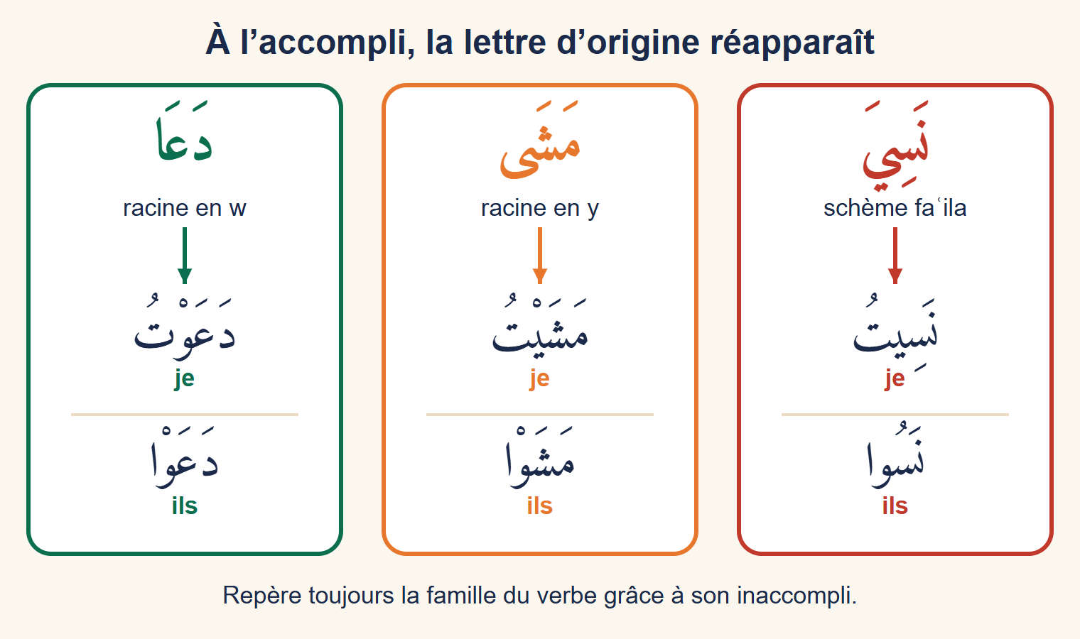 Trois cartes : دَعَا devient دَعَوْتُ et دَعَوْا, مَشَى devient مَشَيْتُ et مَشَوْا, نَسِيَ devient نَسِيتُ et نَسُوا