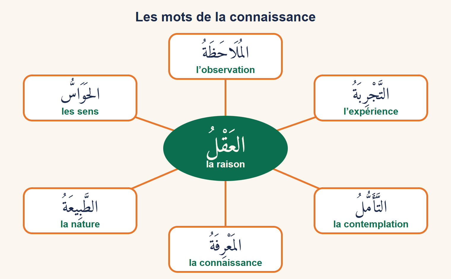 Carte mentale : au centre العَقْلُ, la raison, relié à six mots, المُلَاحَظَةُ, التَّجْرِبَةُ, التَّأَمُّلُ, المَعْرِفَةُ, الطَّبِيعَةُ et الحَوَاسُّ, chacun avec sa traduction