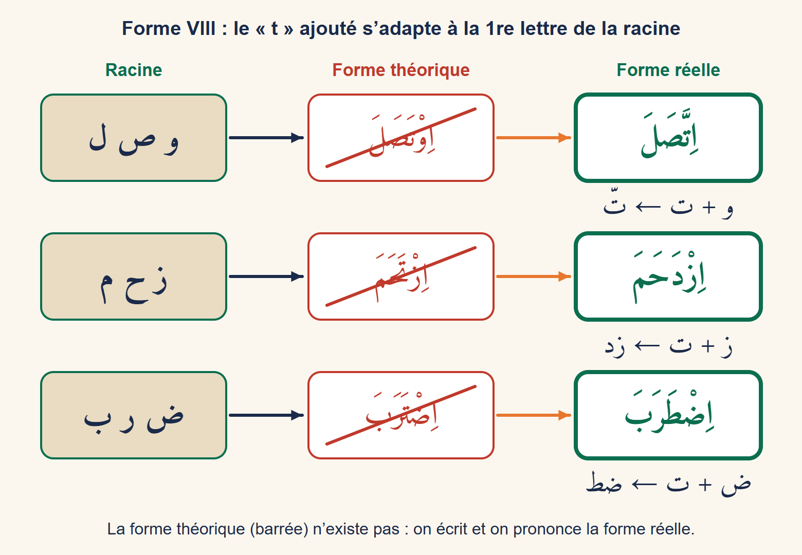 Schéma en trois lignes : les racines waw-sad-lam, zay-ha-mim et dad-ra-ba donnent les formes VIII ittaṣala, izdaḥama et iḍṭaraba au lieu des formes théoriques barrées.