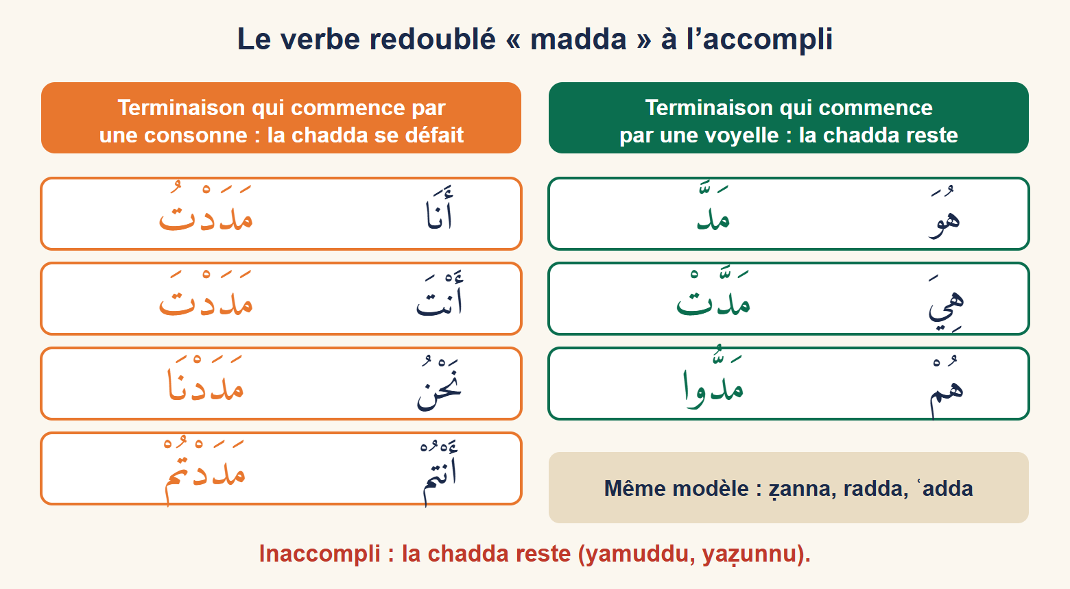 Conjugaison de مَدَّ à l’accompli : مَدَّ, مَدَّتْ, مَدُّوا avec chadda d’un côté, مَدَدْتُ, مَدَدْتَ, مَدَدْنَا, مَدَدْتُمْ avec les deux د séparés de l’autre