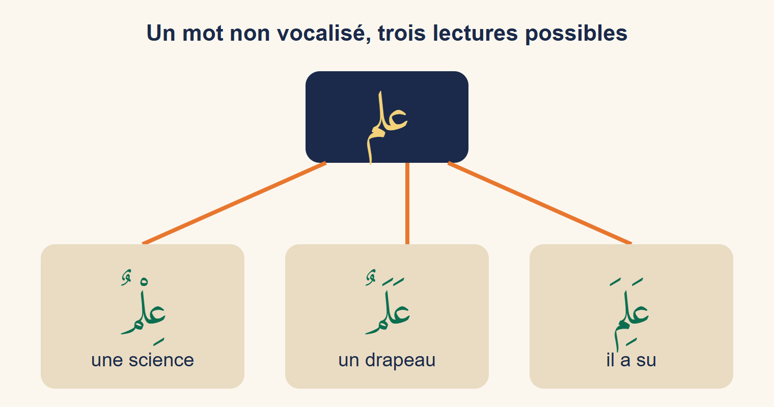 Le mot علم non vocalisé relié à trois lectures : عِلْمٌ une science, عَلَمٌ un drapeau, عَلِمَ il a su