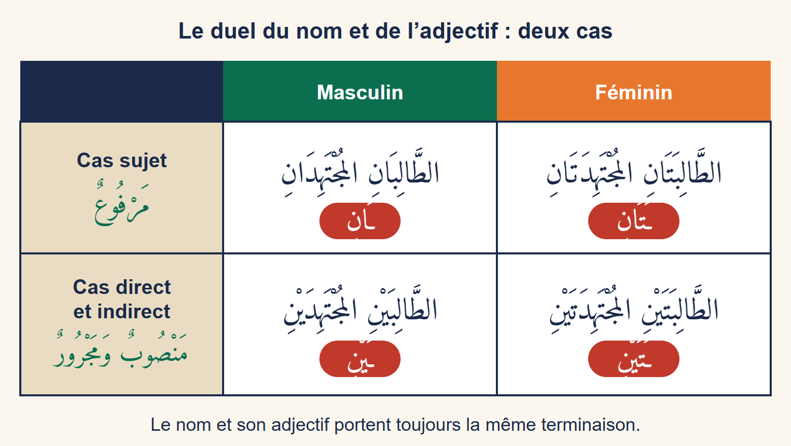 Tableau à deux lignes, cas sujet et cas direct ou indirect, et deux colonnes, masculin et féminin, donnant le groupe « les deux étudiants travailleurs » avec les terminaisons -āni, -ayni, -atāni et -atayni