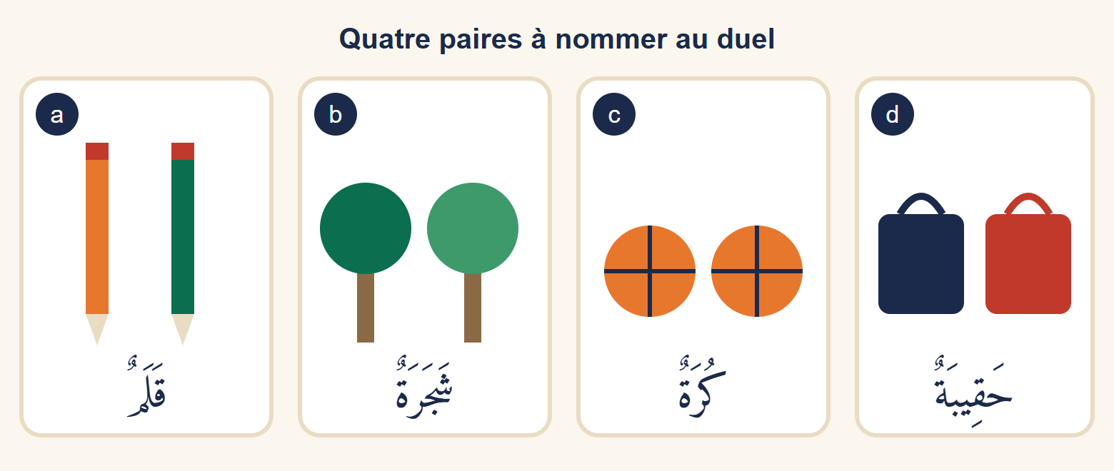 Quatre cartes illustrées : deux crayons, deux arbres, deux ballons et deux sacs, chacune avec le nom arabe au singulier