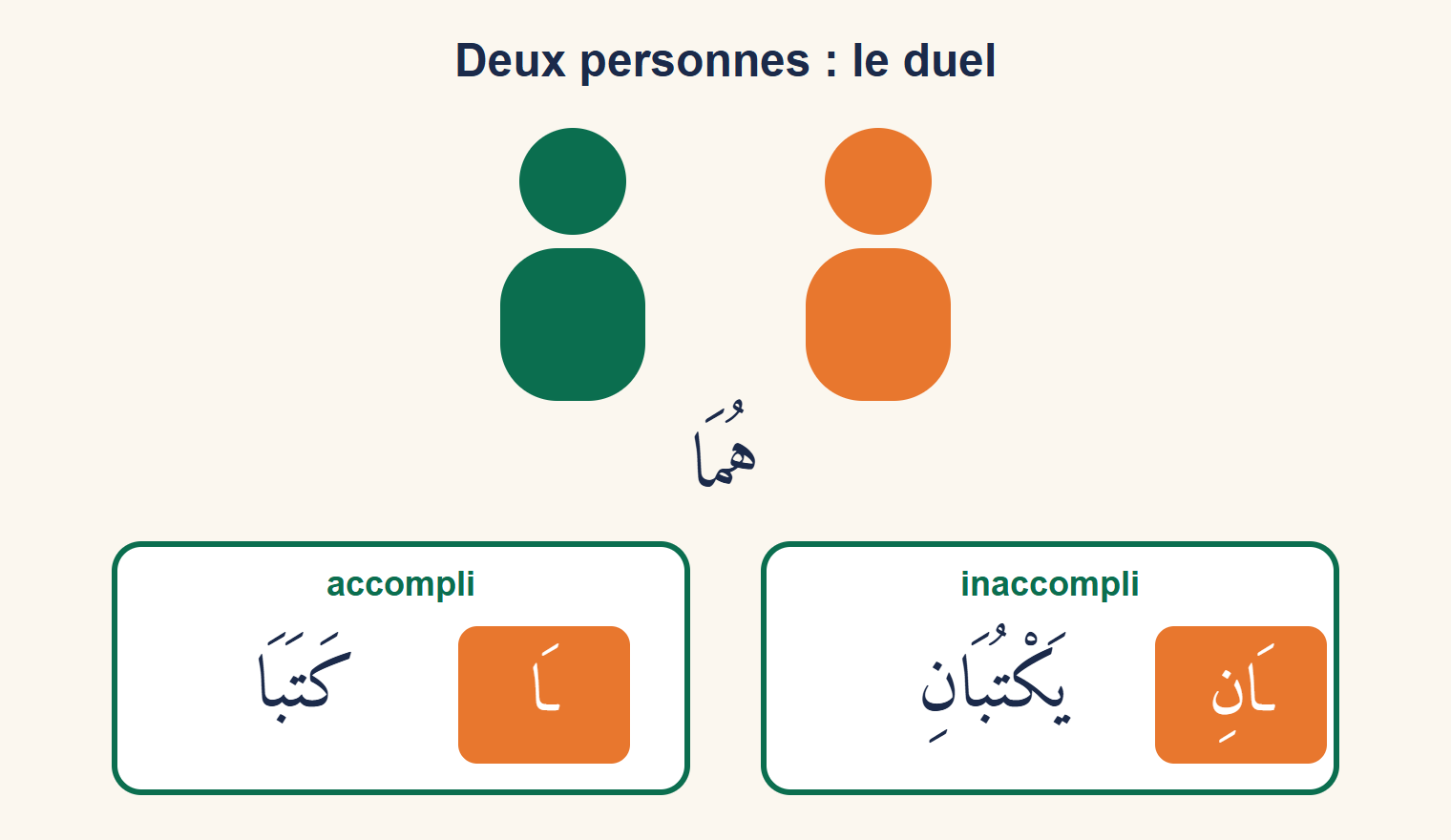 Deux silhouettes au-dessus du pronom هُمَا, puis deux étiquettes : كَتَبَا avec la terminaison ـَا en orange pour l’accompli, يَكْتُبَانِ avec la terminaison ـَانِ en orange pour l’inaccompli