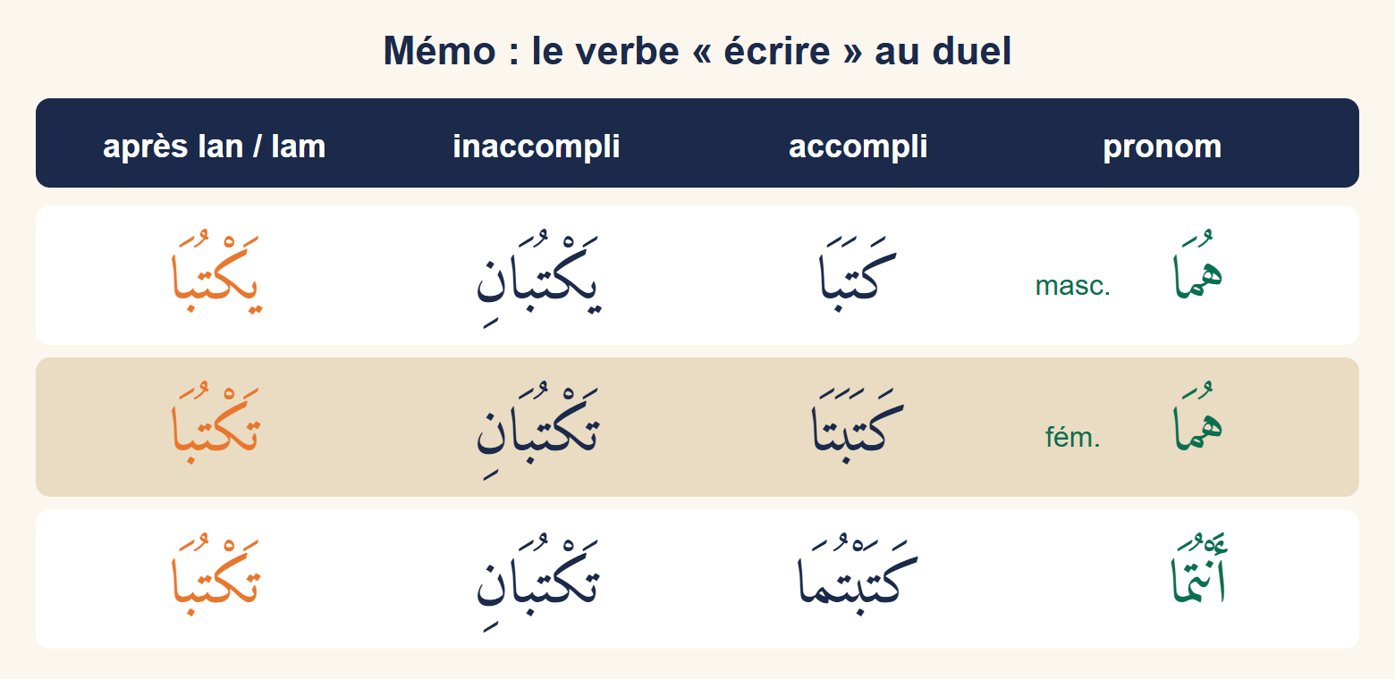 Tableau mémo à trois lignes (هُمَا masculin, هُمَا féminin, أَنْتُمَا) et trois colonnes (accompli, inaccompli, après لَنْ ou لَمْ) avec les formes de كَتَبَ au duel