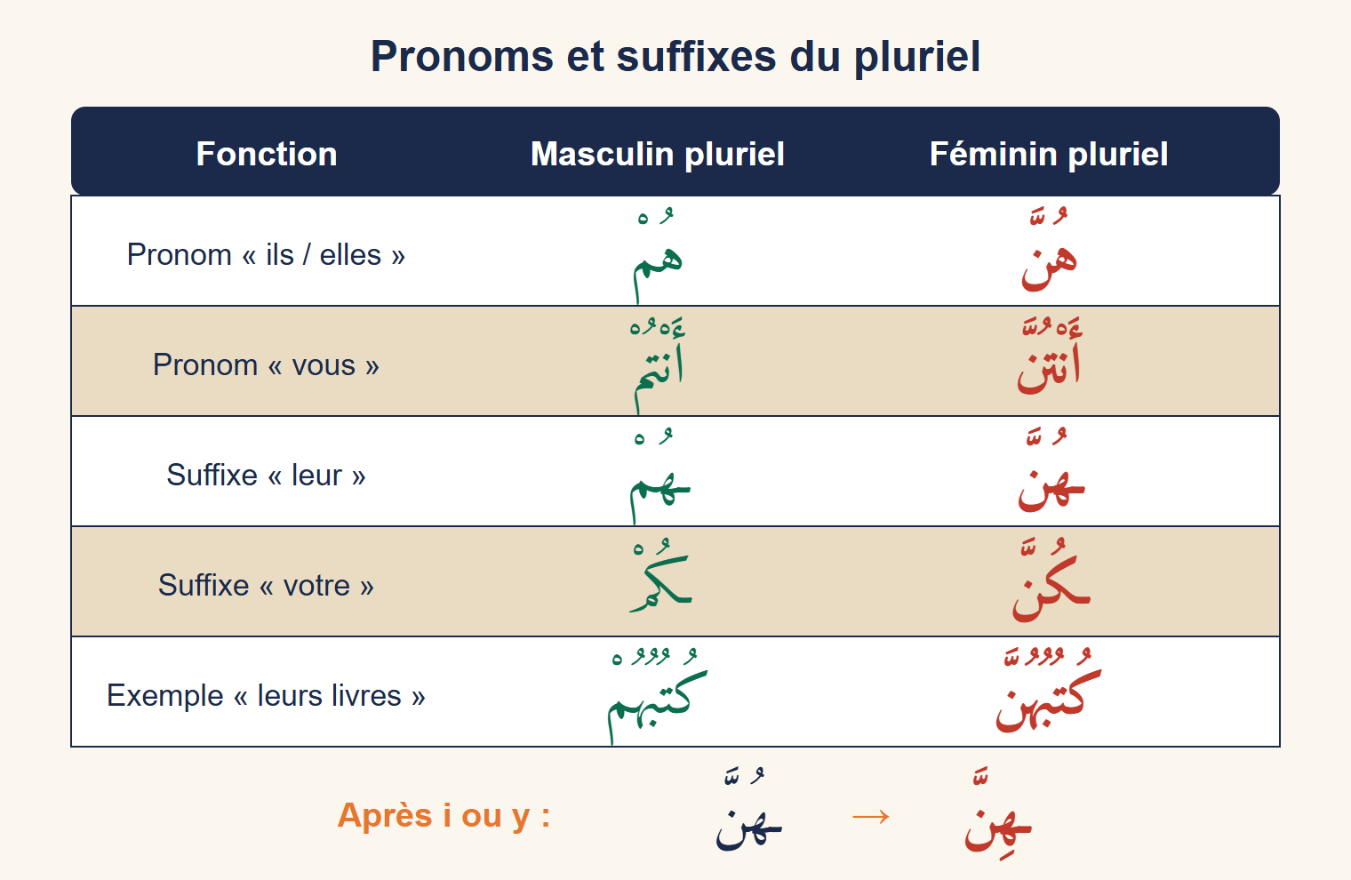 Tableau comparant les pronoms et suffixes du masculin pluriel et du féminin pluriel, avec l’exemple leurs livres