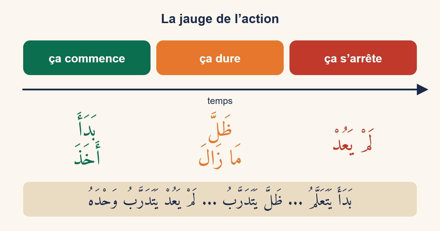 Jauge horizontale en trois zones : verte avec بَدَأَ et أَخَذَ pour le début, orange avec ظَلَّ et مَا زَالَ pour la durée, rouge avec لَمْ يَعُدْ pour la fin