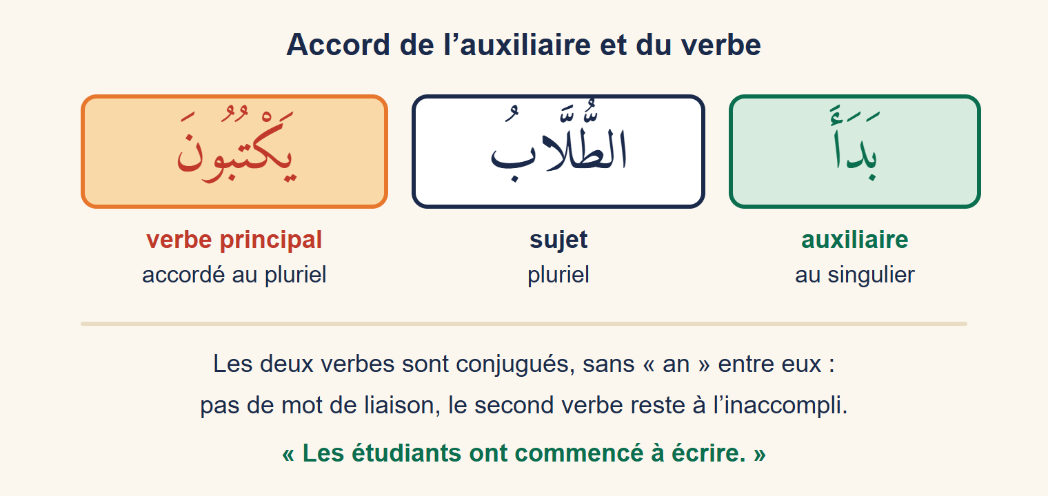 Schéma de la phrase بَدَأَ الطُّلَّابُ يَكْتُبُونَ : l’auxiliaire au singulier, le sujet pluriel, puis le verbe accordé au pluriel