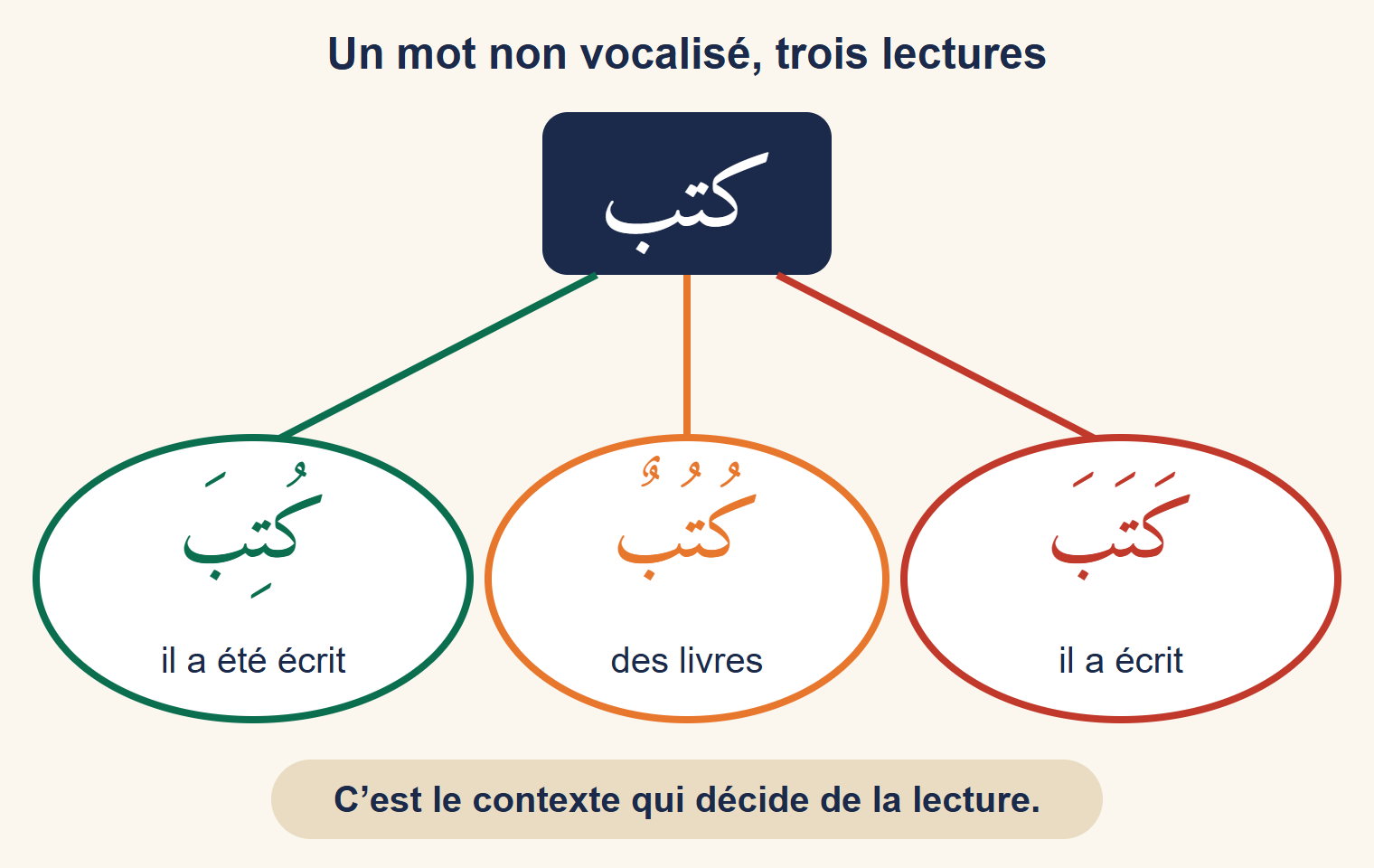 Le mot non vocalisé كتب au centre, relié à trois bulles : كَتَبَ « il a écrit », كُتُبٌ « des livres » et كُتِبَ « il a été écrit »