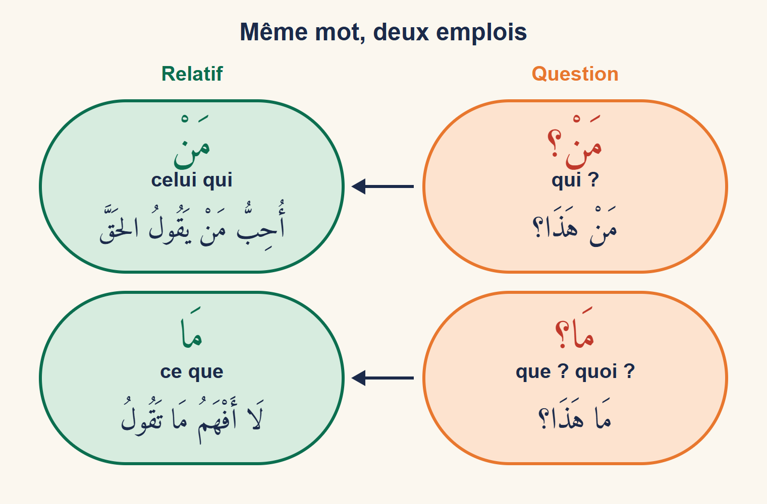 Deux pastilles comparées : à droite مَنْ ؟ interrogatif traduit par qui ?, à gauche مَنْ relatif traduit par celui qui, avec un exemple sous chacune ; même comparaison pour مَا