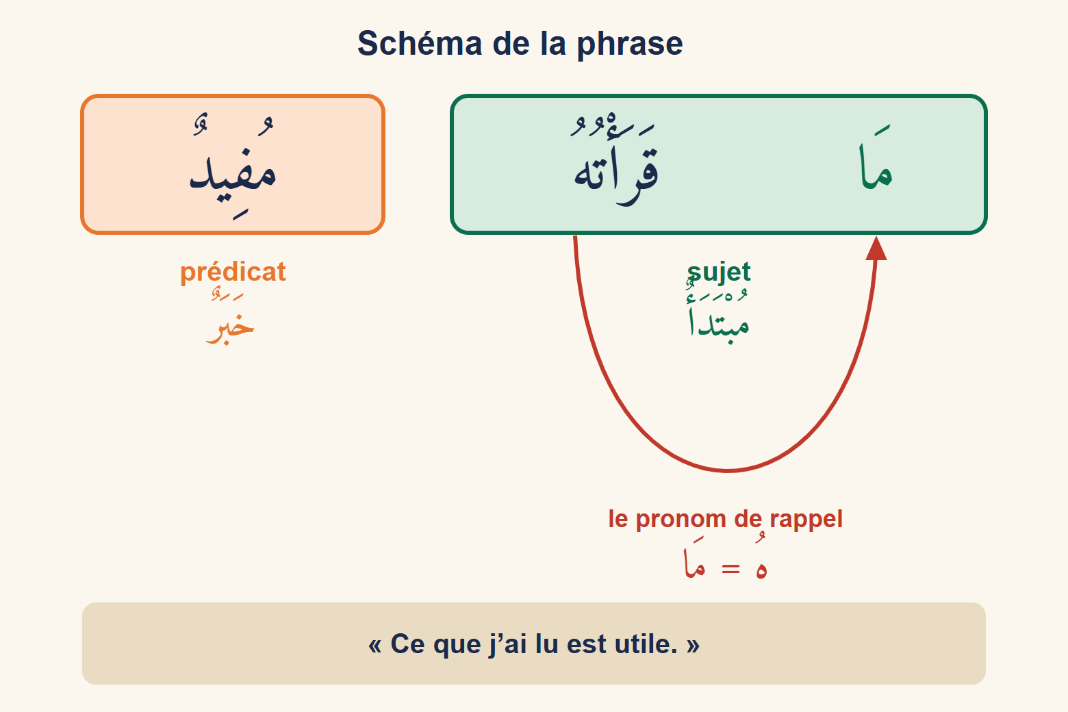 Schéma de la phrase مَا قَرَأْتُهُ مُفِيدٌ : le groupe مَا قَرَأْتُهُ encadré en vert comme sujet, مُفِيدٌ encadré en orange comme prédicat, une flèche relie le pronom هُ à مَا