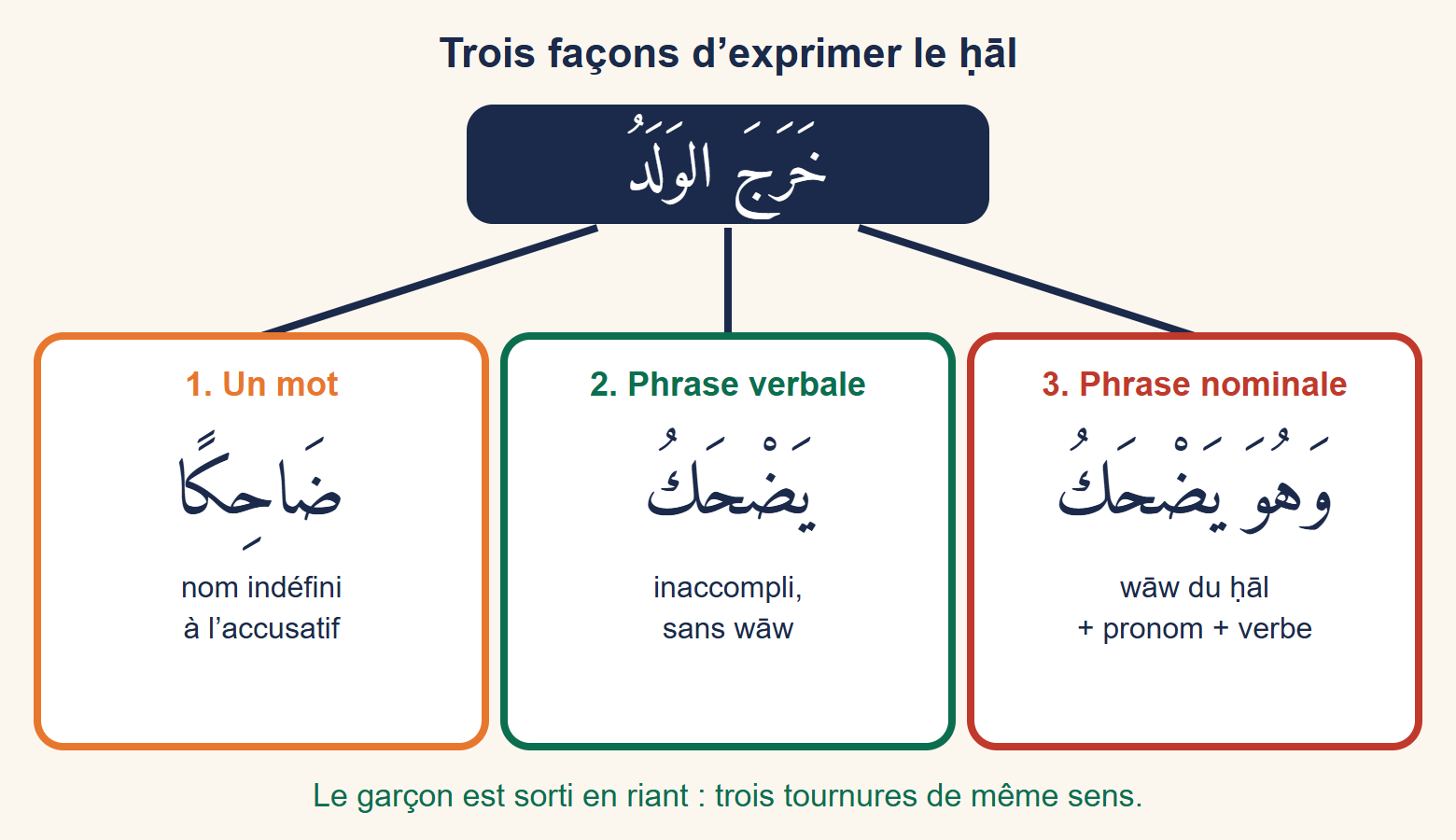 Schéma : la phrase arabe « le garçon est sorti » reliée à trois cases montrant le ḥāl sous forme d’un mot, d’une phrase verbale et d’une phrase nominale