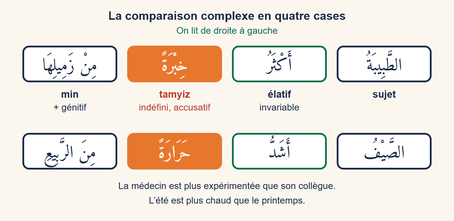 Schéma de deux phrases découpées en cases de droite à gauche : le sujet, l’élatif akthar ou ashadd, le tamyiz à l’accusatif surligné en orange, puis le complément introduit par min