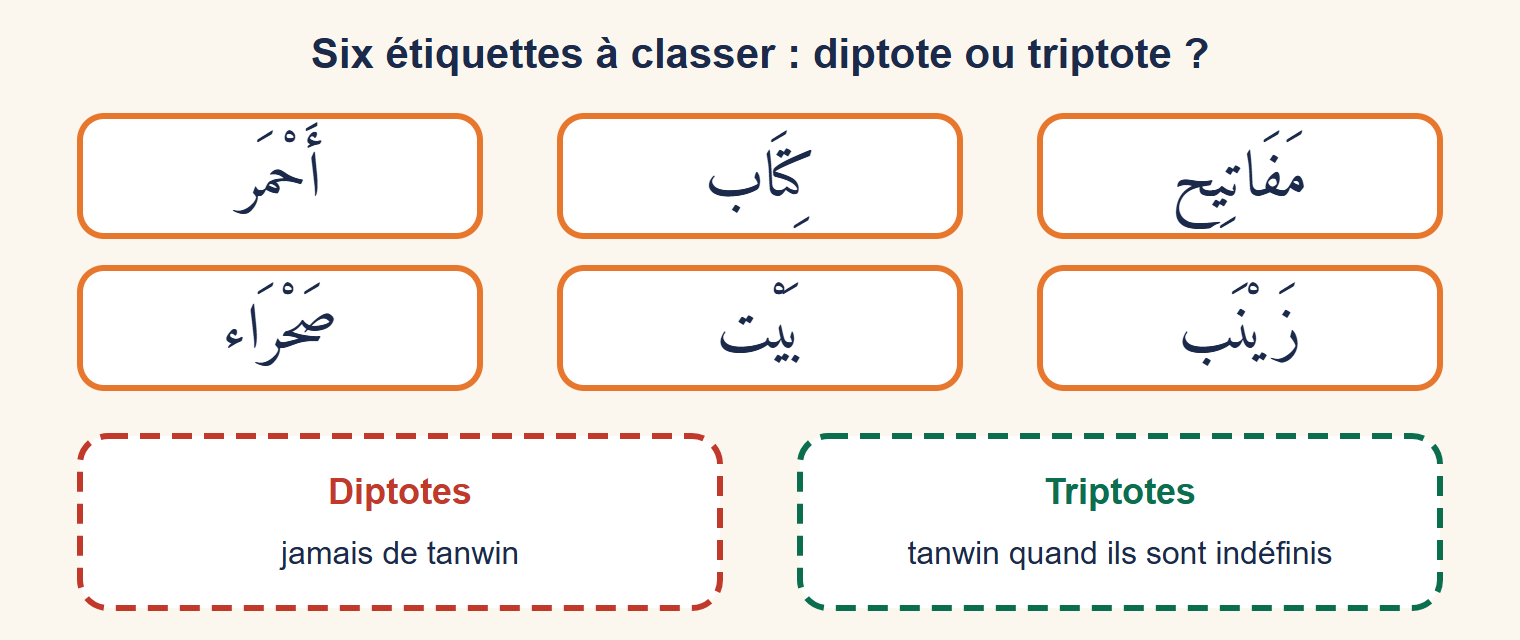 Six étiquettes de mots arabes sans voyelle finale (rouge, livre, clés, désert, maison, Zaynab) à classer en diptotes ou triptotes