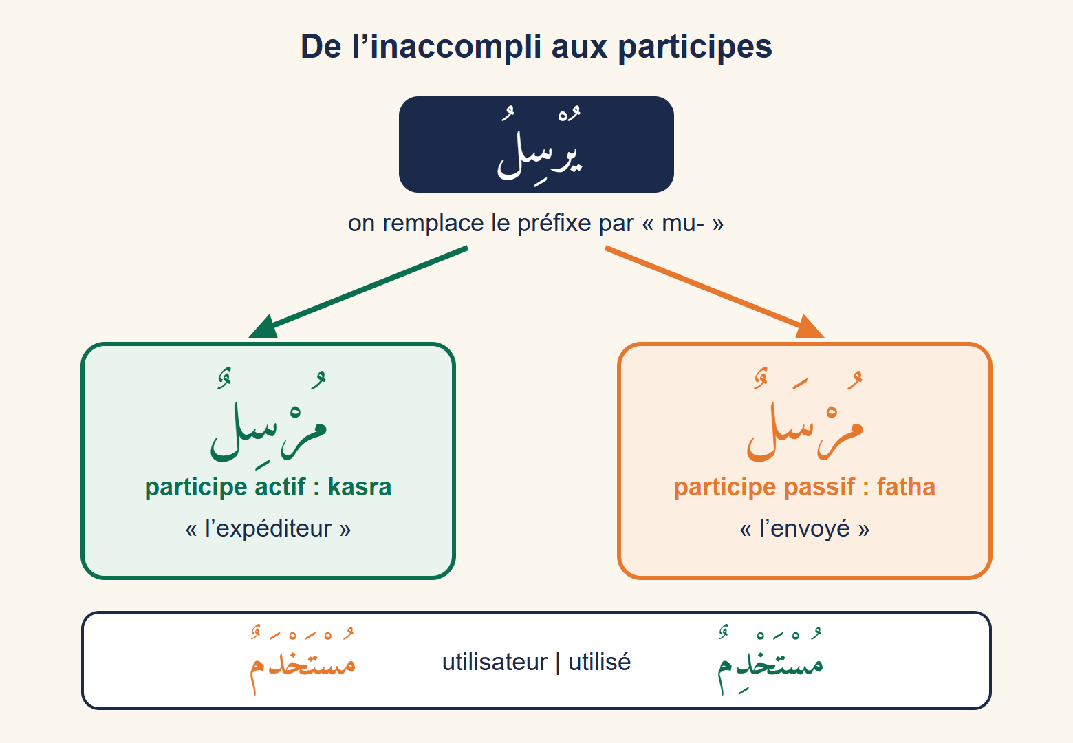 Schéma montrant le passage de l’inaccompli يُرْسِلُ aux participes مُرْسِلٌ et مُرْسَلٌ
