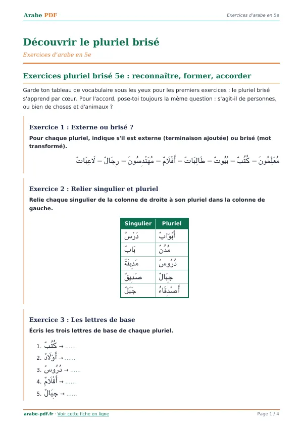 Exercices « Découvrir le pluriel brisé » en PDF