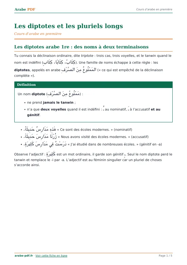 Cours « Les diptotes et les pluriels longs » en PDF