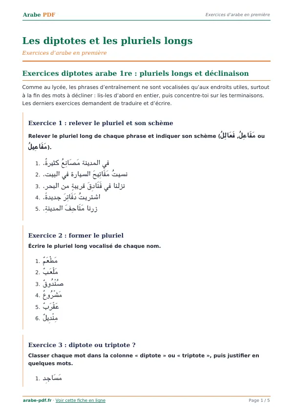 Exercices « Les diptotes et les pluriels longs » en PDF