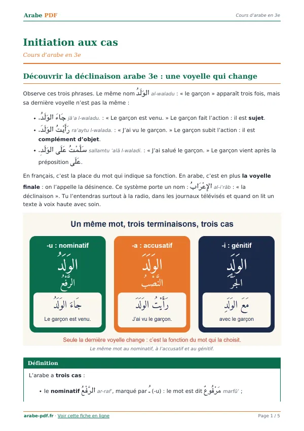 Cours « Initiation aux cas » en PDF