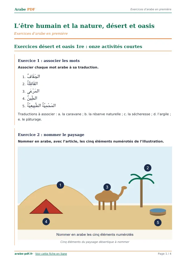 Exercices « L’être humain et la nature, désert et oasis » en PDF