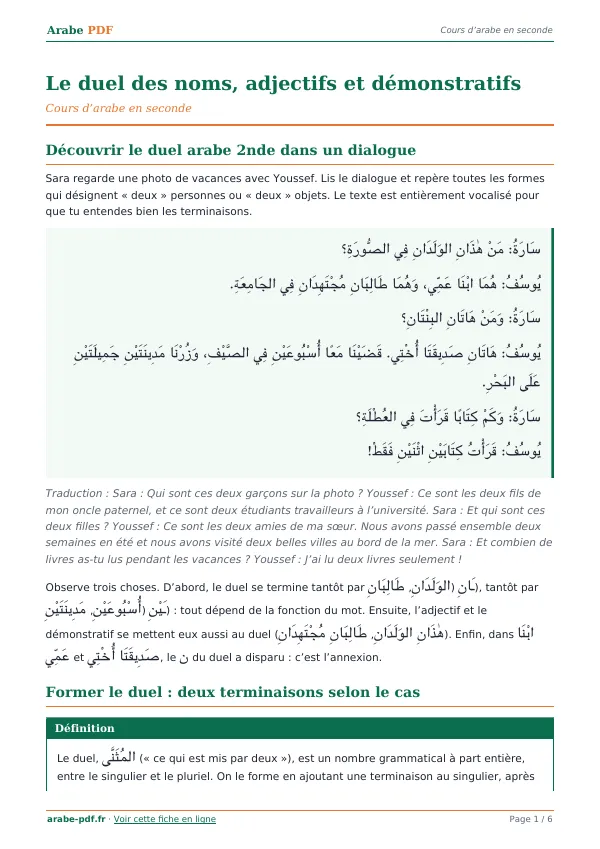 Cours « Le duel des noms, adjectifs et démonstratifs » en PDF