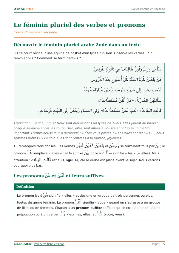 Cours « Le féminin pluriel des verbes et pronoms » en PDF