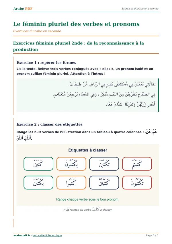 Exercices « Le féminin pluriel des verbes et pronoms » en PDF