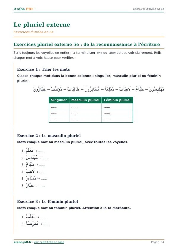 Exercices « Le pluriel externe » en PDF