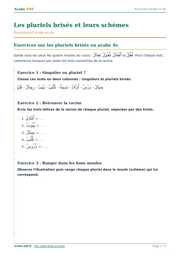 Exercices « Les pluriels brisés et leurs schèmes » en PDF