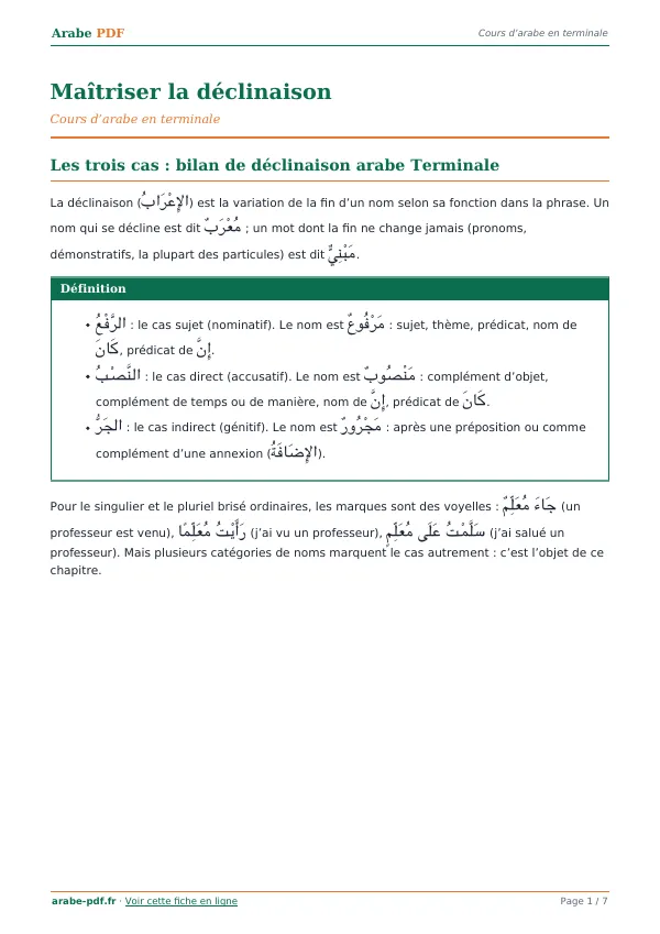 Cours « Maîtriser la déclinaison » en PDF