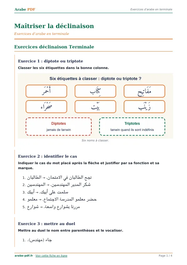 Exercices « Maîtriser la déclinaison » en PDF