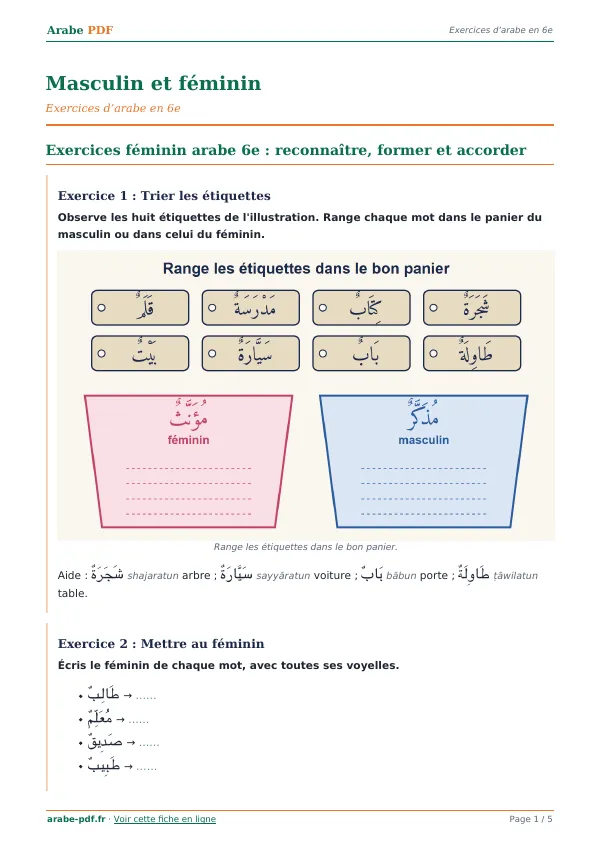 Exercices « Masculin et féminin » en PDF